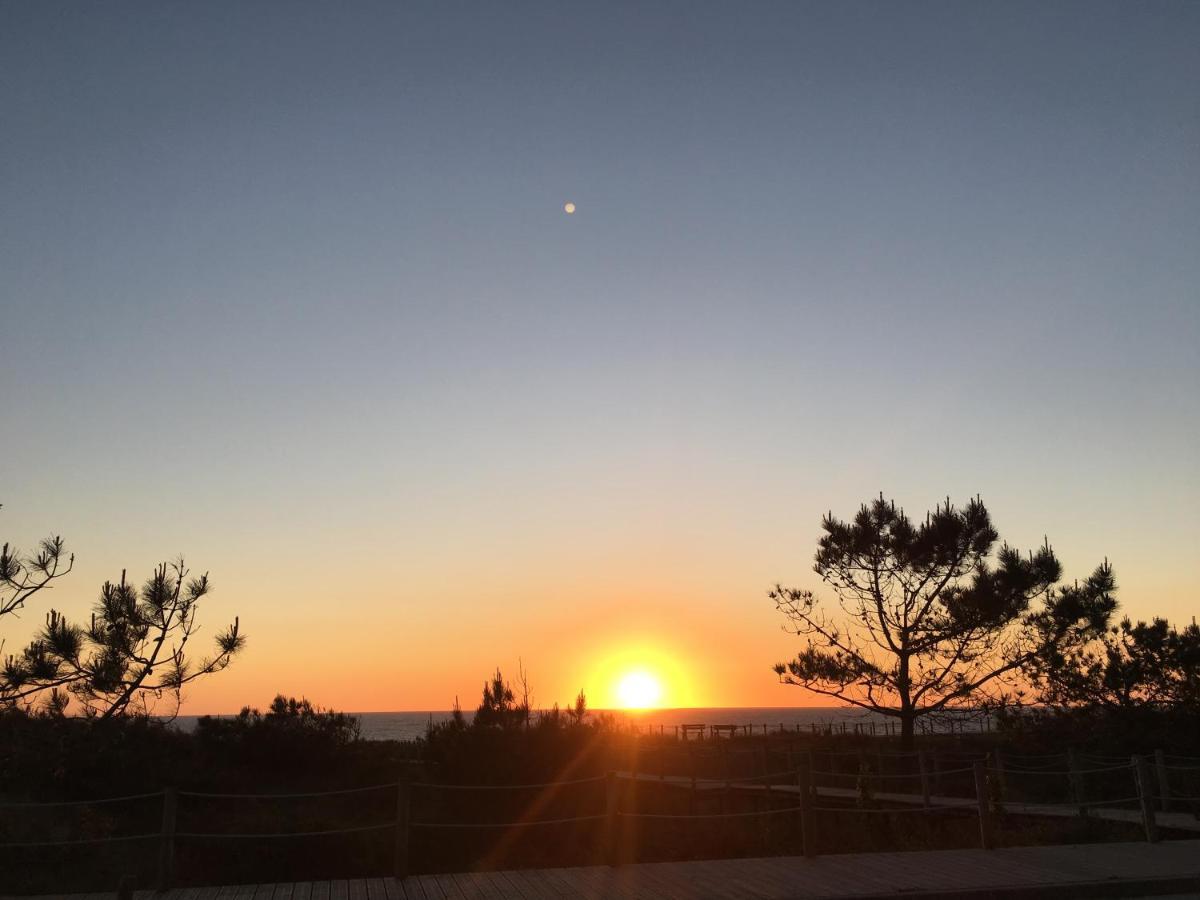 Bela Vista Daire Viana do Castelo Dış mekan fotoğraf